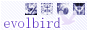 evolbird